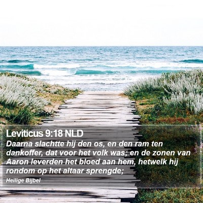Leviticus 9:18 NLD Bible Verse Image