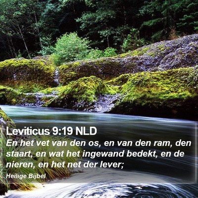 Leviticus 9:19 NLD Bible Verse Image