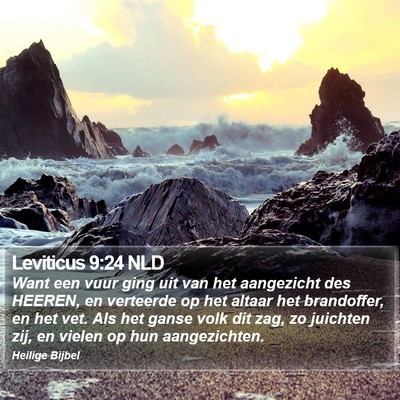 Leviticus 9:24 NLD Bible Verse Image