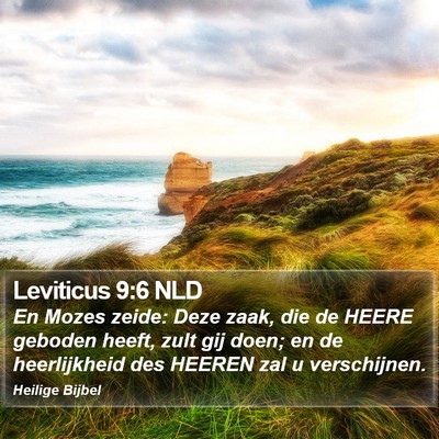 Leviticus 9:6 NLD Bible Verse Image