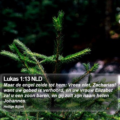Lukas 1:13 NLD Bible Verse Image