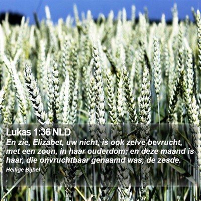 Lukas 1:36 NLD Bible Verse Image