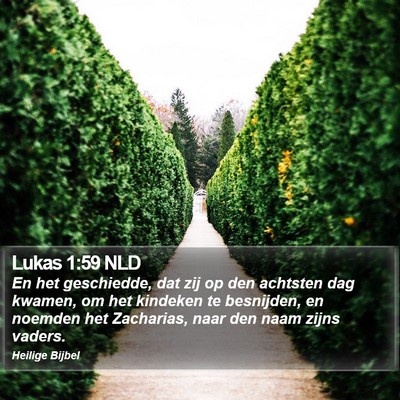 Lukas 1:59 NLD Bible Verse Image