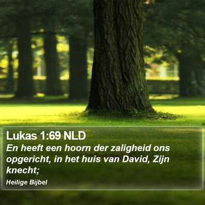 Lukas 1:69 NLD Bible Verse Image