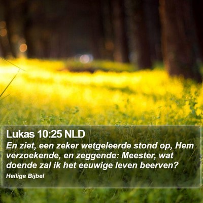 Lukas 10:25 NLD Bible Verse Image