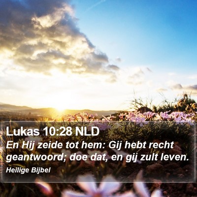 Lukas 10:28 NLD Bible Verse Image