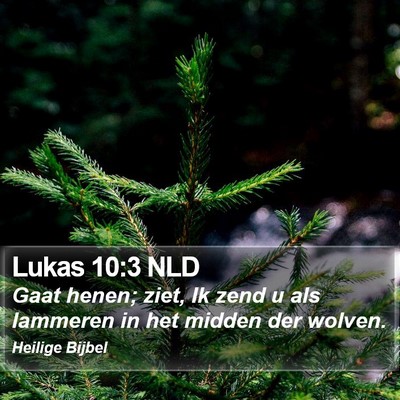 Lukas 10:3 NLD Bible Verse Image