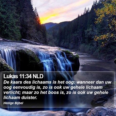 Lukas 11:34 NLD Bible Verse Image
