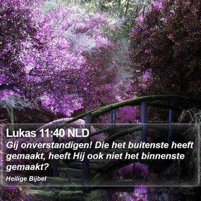 Lukas 11:40 NLD Bible Verse Image