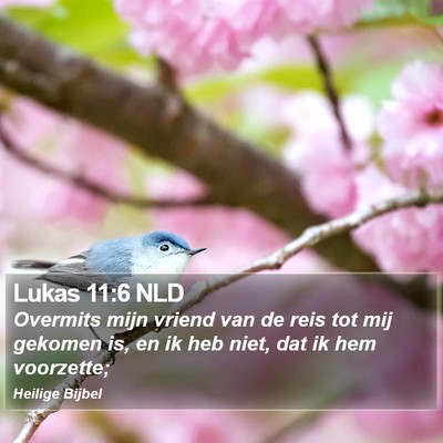 Lukas 11:6 NLD Bible Verse Image