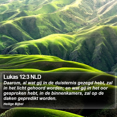 Lukas 12:3 NLD Bible Verse Image
