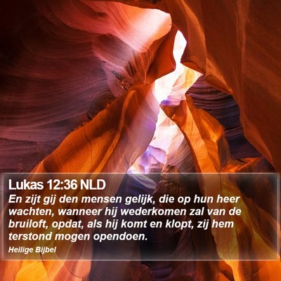 Lukas 12:36 NLD Bible Verse Image