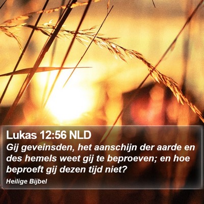 Lukas 12:56 NLD Bible Verse Image