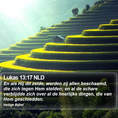 Lukas 13:17 NLD Bible Verse Image