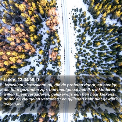 Lukas 13:34 NLD Bible Verse Image