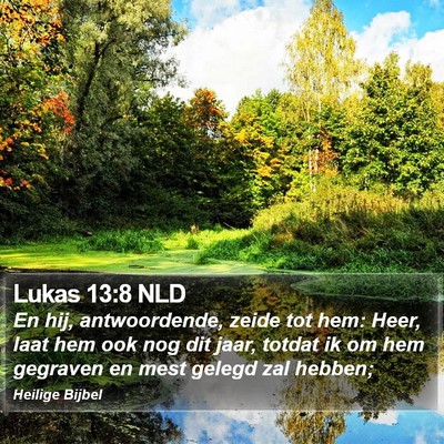 Lukas 13:8 NLD Bible Verse Image