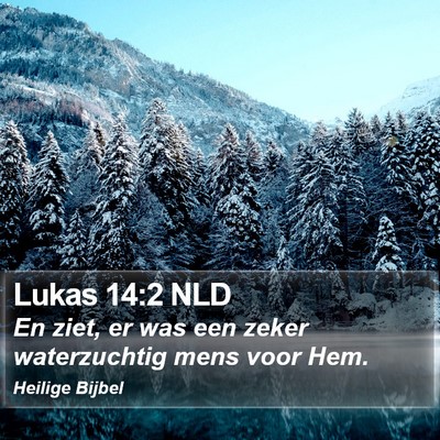 Lukas 14:2 NLD Bible Verse Image