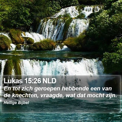 Lukas 15:26 NLD Bible Verse Image