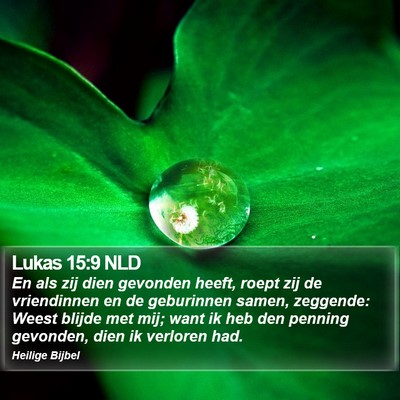 Lukas 15:9 NLD Bible Verse Image