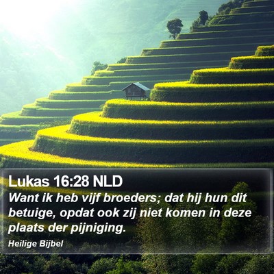 Lukas 16:28 NLD Bible Verse Image
