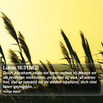 Lukas 16:31 NLD Bible Verse Image