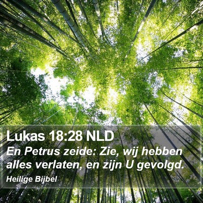 Lukas 18:28 NLD Bible Verse Image