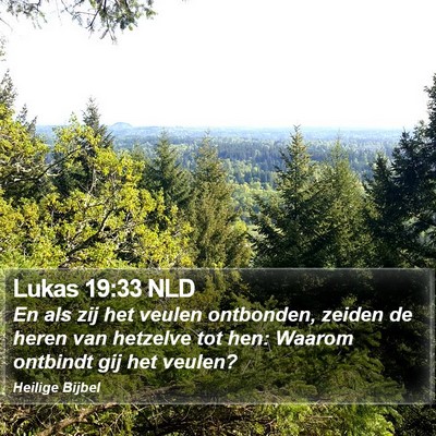 Lukas 19:33 NLD Bible Verse Image