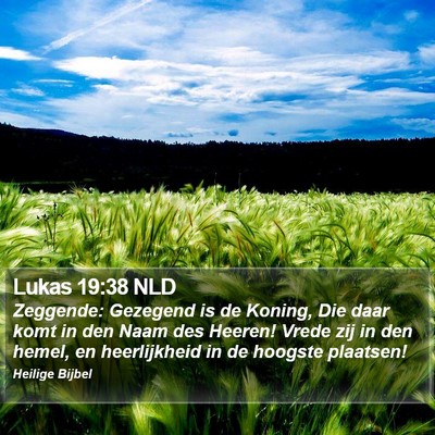 Lukas 19:38 NLD Bible Verse Image
