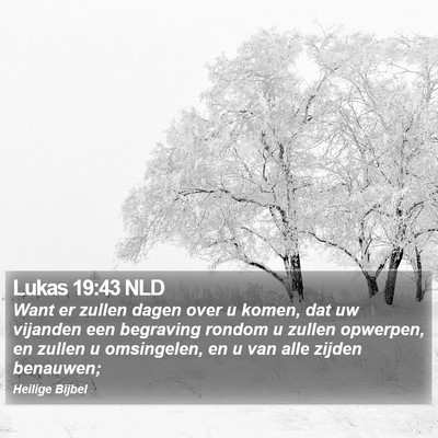 Lukas 19:43 NLD Bible Verse Image