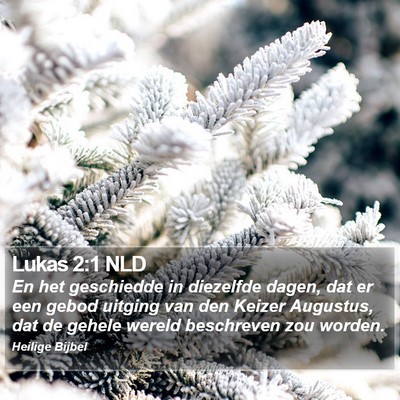 Lukas 2:1 NLD Bible Verse Image