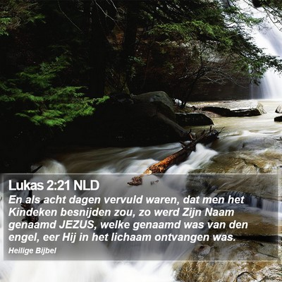 Lukas 2:21 NLD Bible Verse Image