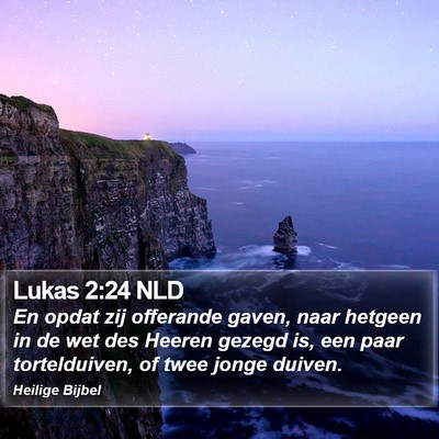 Lukas 2:24 NLD Bible Verse Image