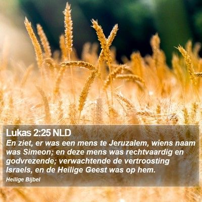 Lukas 2:25 NLD Bible Verse Image