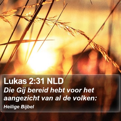 Lukas 2:31 NLD Bible Verse Image