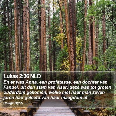 Lukas 2:36 NLD Bible Verse Image