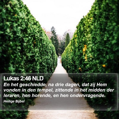 Lukas 2:46 NLD Bible Verse Image