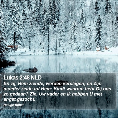 Lukas 2:48 NLD Bible Verse Image