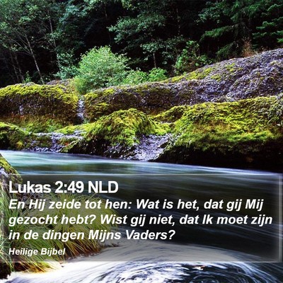 Lukas 2:49 NLD Bible Verse Image