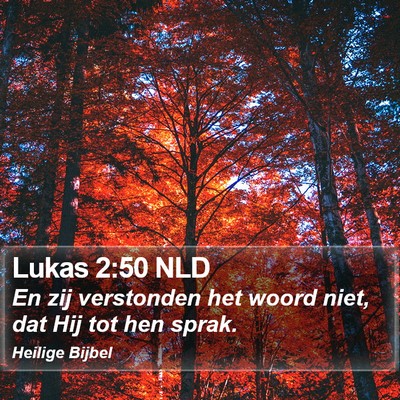 Lukas 2:50 NLD Bible Verse Image