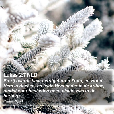Lukas 2:7 NLD Bible Verse Image