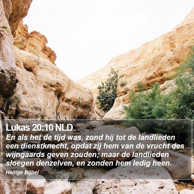 Lukas 20:10 NLD Bible Verse Image