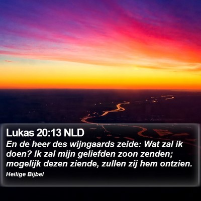 Lukas 20:13 NLD Bible Verse Image