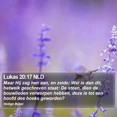 Lukas 20:17 NLD Bible Verse Image