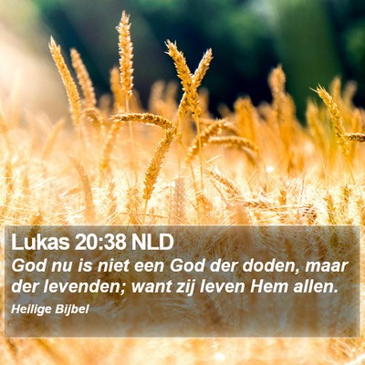 Lukas 20:38 NLD Bible Verse Image