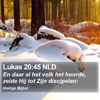 Lukas 20:45 NLD Bible Verse Image