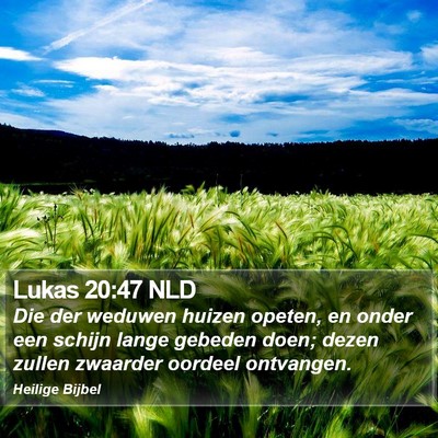 Lukas 20:47 NLD Bible Verse Image
