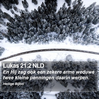 Lukas 21:2 NLD Bible Verse Image