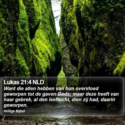 Lukas 21:4 NLD Bible Verse Image