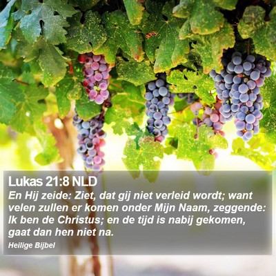 Lukas 21:8 NLD Bible Verse Image