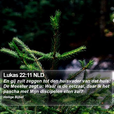 Lukas 22:11 NLD Bible Verse Image